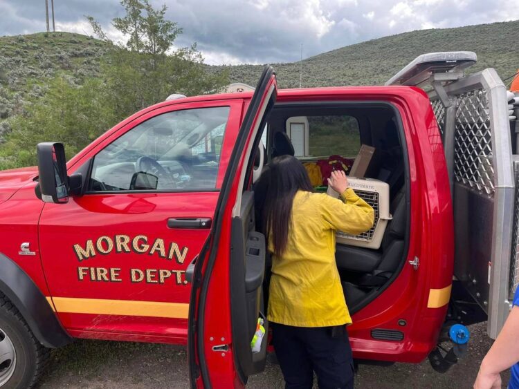 Workers demolish an abandoned home in Utah — then they hear ‘chirping in the rubble’