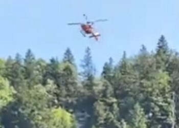 Tourist Dies, American Man Arrested After Attack at Germany’s Neuschwanstein Castle