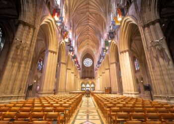 ‘Pope Francis has already highlighted [it]’