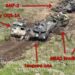 Russia Has Destroyed Its First Ukrainian Bradley Fighting Vehicles