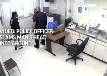 Michigan officer charged after video shows him punching man