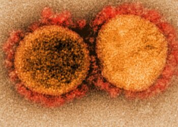 Scientists are trying to find a mystery person in Ohio who has a new kind of COVID, and is shedding it into the sewage