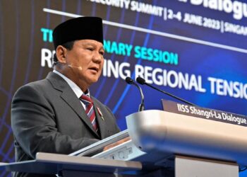 Indonesia suggests peace plan for Russia-Ukraine War; EU criticises