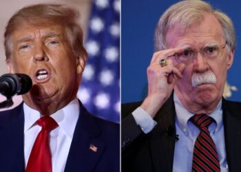 Ex-Trump adviser says Trump did ‘enormous damage’ to country and GOP