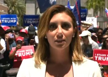 Trump attorney Alina Habba addresses reporters in front of courthouse at arraignment