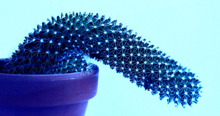 FDA Approves First Erectile Dysfunction Gel That Doesn’t Require a Prescription