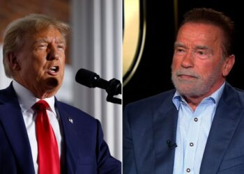 Schwarzenegger asked if he’s worried Trump could win reelection. Hear his response