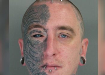 Harvard Morgue Manager And Associates Charged With Trafficking Human Remains, Sold Parts Via Facebook And PayPal