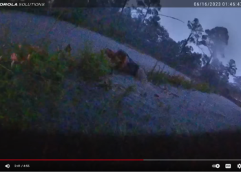 Deputy and driver get swept into pipe, travel 100 feet under Florida road, video shows