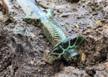 Archaeologists find a 3,000-year-old sword so well preserved it’s still gleaming