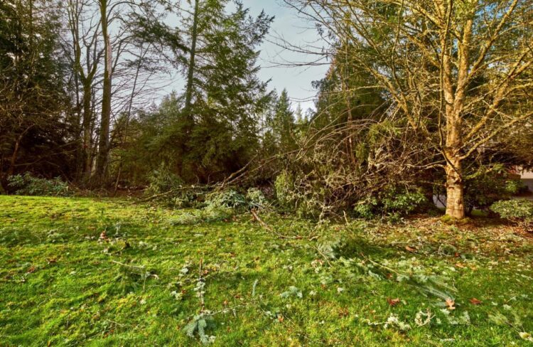 Homeowner furious after careless neighbor destroys their yard: ‘Get an attorney’