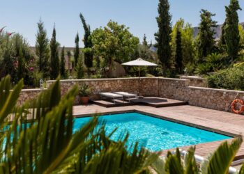 Homeowner spots ‘big, nasty’ visitor gulping from swimming pool, Arizona video shows