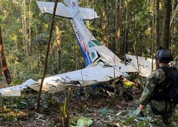 Children found after 40 days in Amazon survived by eating ‘cassava flour’