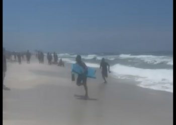 Man defies warning not to swim in Gulf of Mexico and gets arrested, Florida cops say