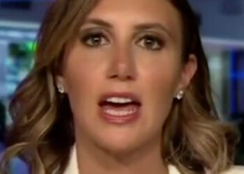 Trump Attorney Says She’s ‘Ashamed To Be A Lawyer’ And You Know What Happened