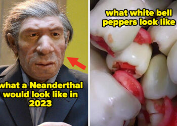 I’m An Incredibly Dumb Man So My Brain Was Completely Blown After Seeing These 22 Absolutely Incredible Pictures For The Very First Time Last Week