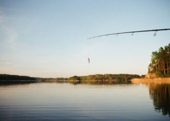 ‘Monster trout’ caught in Idaho shatters state record. See the ‘unique’ catch