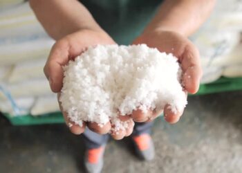 S.Korea salt demand grows before Fukushima wastewater release