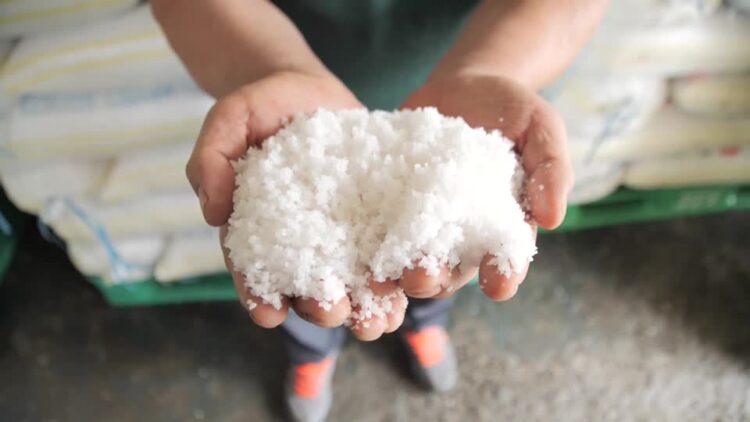 S.Korea salt demand grows before Fukushima wastewater release