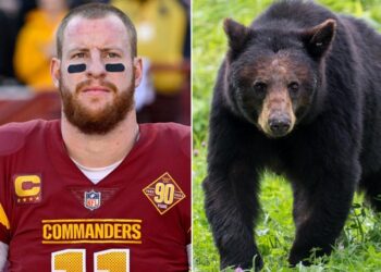 An NFL quarterback who killed a black bear as part of his ‘bucket list’ is being called ‘barbaric’ on social media