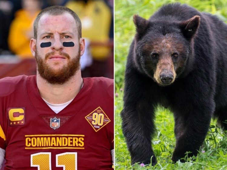 An NFL quarterback who killed a black bear as part of his ‘bucket list’ is being called ‘barbaric’ on social media