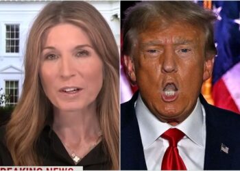 Nicolle Wallace Sums Up Trump’s Latest Excuse In 2 Scathing Words