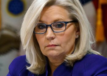 Cheney on the problem with American politics: ‘We’re electing idiots’