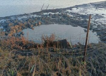 Russian invaders start panicking after strike on bridge to Crimea, says official