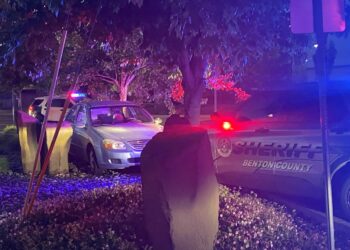 16-year-old ambushed ex-girlfriend and new boyfriend at Tri-Cities park, police say