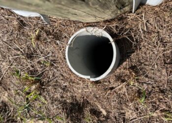 Someone on a morning walk in Florida heard ‘cries.’ A cop checked an uncapped pipe