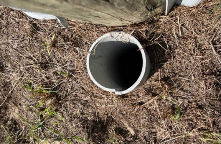 Someone on a morning walk in Florida heard ‘cries.’ A cop checked an uncapped pipe