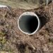 Someone on a morning walk in Florida heard ‘cries.’ A cop checked an uncapped pipe