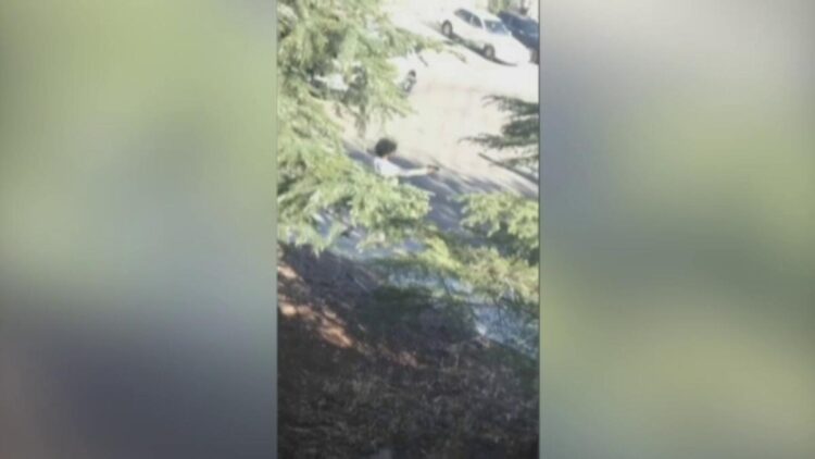 California man seen attacking deputy, taking her gun and opening fire