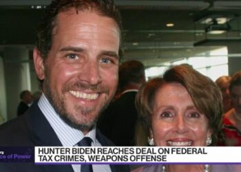 Hunter Biden Pleads Guilty to Federal Charges