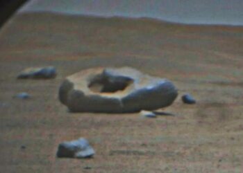 NASA’s Perseverance Rover Finds an Other Worldly Treat on Mars