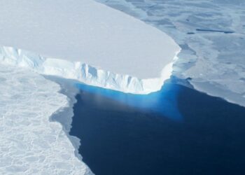 Data | Antarctic sea ice cover hits record lows on many days of 2023