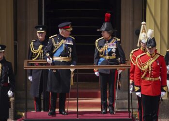 Indian-origin medics, professionals on King Charles III’s first Birthday Honours List