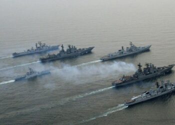 Russia is ‘training combat dolphins’ in Crimea: UK