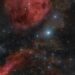 Explained | Will Betelgeuse, the red giant star, blow up in your lifetime?