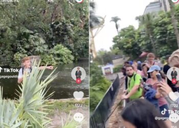 20-year-old aspiring influencer arrested after ‘illegally’ jumping in alligator exhibit for a video: ‘That was stupid’