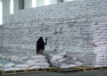 Once starved by war, millions of Ethiopians go hungry again as US, UN pause aid after massive theft