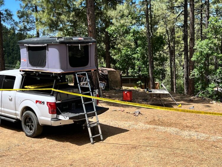 Bear fatally attacks man drinking coffee in yard and drags him 75 feet, Arizona cops say