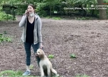 More Bad News For “Central Park Karen”