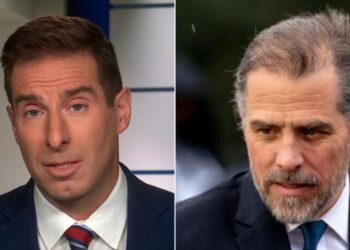 Was Hunter Biden given a ‘sweetheart deal’? Legal expert weighs in