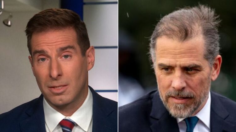 Was Hunter Biden given a ‘sweetheart deal’? Legal expert weighs in