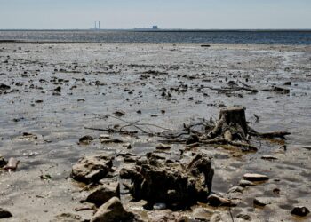 Draining reservoir from Ukraine’s destroyed dam is revealing World War II weapons