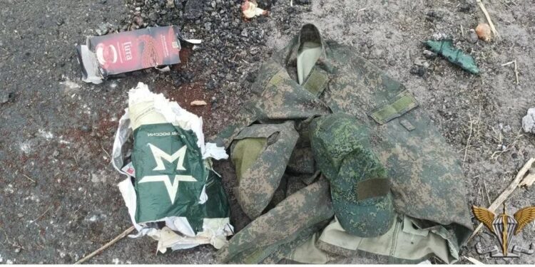 Ukrainian troops devastate 4 Russian infantry companies on southern front, officer says