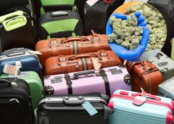 United Airlines employees accused of years-long scheme selling weed stolen out of customers’ checked baggage