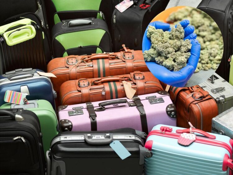United Airlines employees accused of years-long scheme selling weed stolen out of customers’ checked baggage