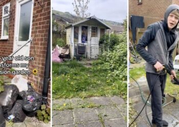 16-year-old son transforms mom’s ‘depression garden’ into stunning backyard oasis